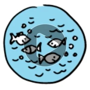Video pédagogique pour faciliter l'accès aux données sur l'eau